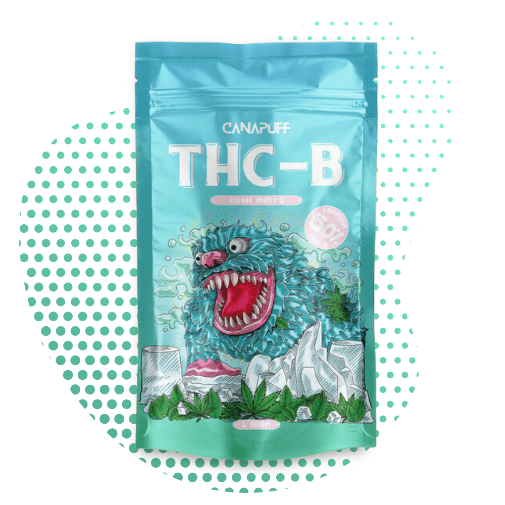 Canapuff Kush Mintz Flores B 50% THC