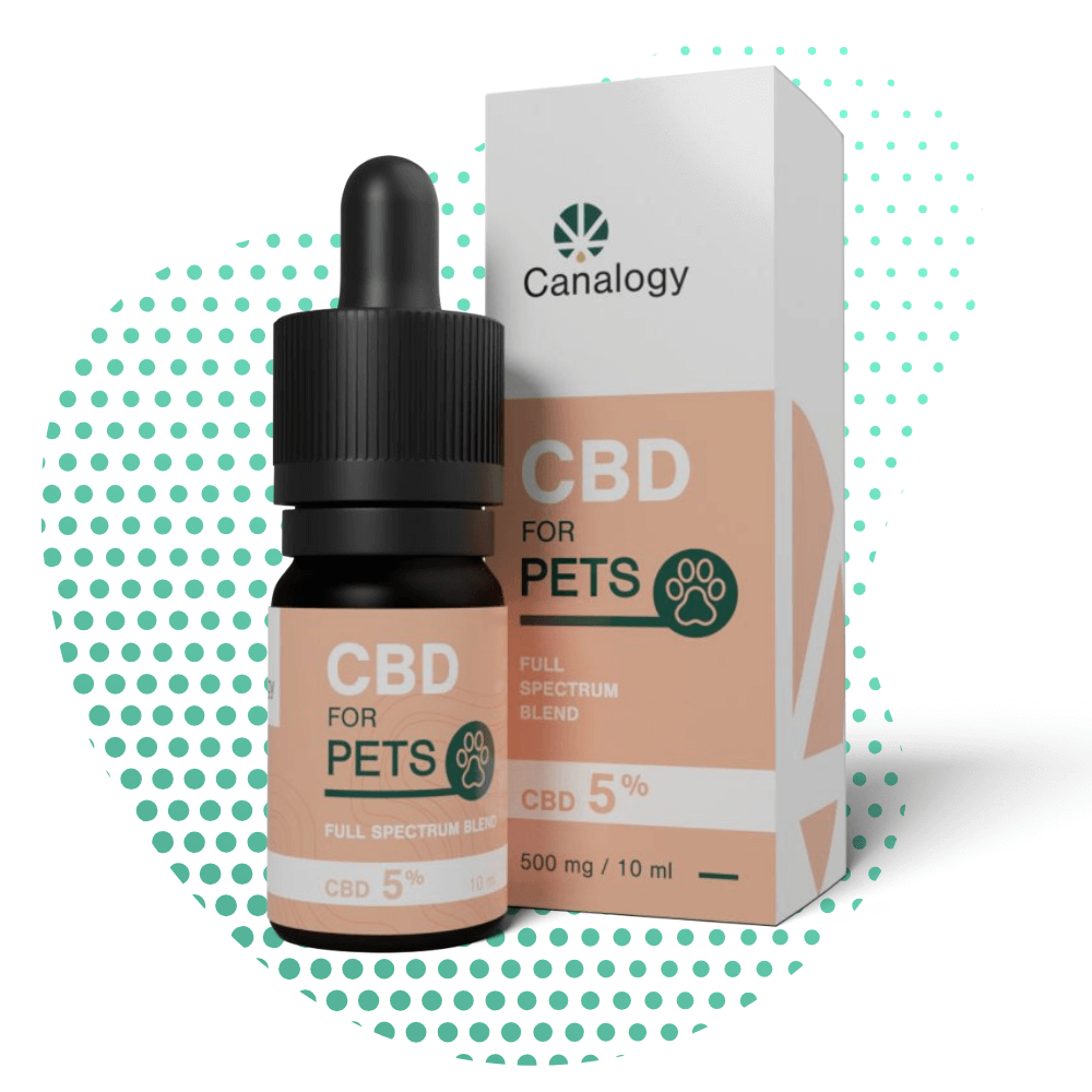óleo de cbd para animais 5 mistura de espectro completo canalogy