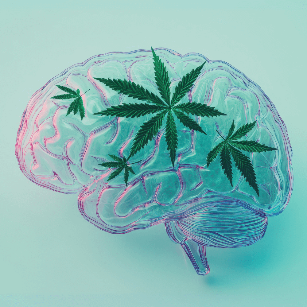 conjunto_alívio_dor_corpo_canapuff-Canapuff