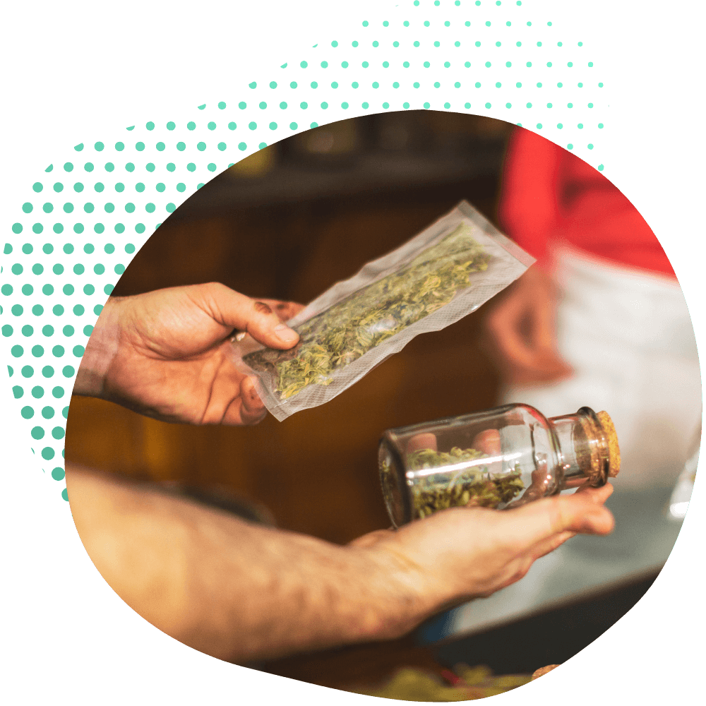 Benefícios das Flores de THC