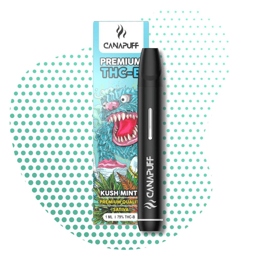 Kush Mintz 79% - THC-B - Canapuff - Uso único - 1ml Canapuff
