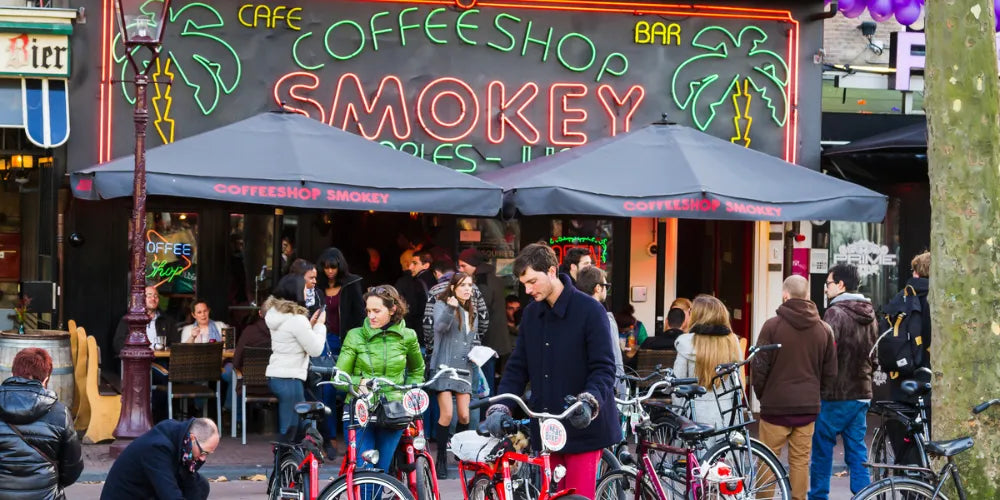 Melhores Coffeeshops em Amesterdão 2024: Os Melhores Lugares para Cannabis-Canapuff