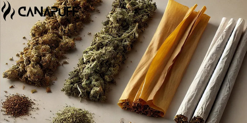 Alternativas ao Papel de Enrolar: O que fazer quando ficas sem papéis 💨🌿-Canapuff