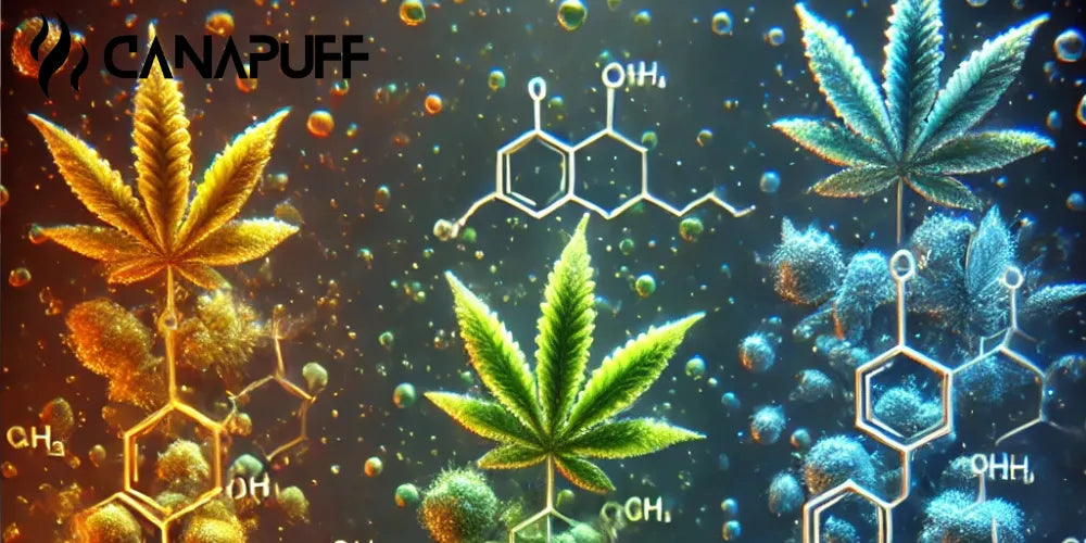 HHC vs HHCO vs HHCP: Potência, Efeitos e Química-Canapuff