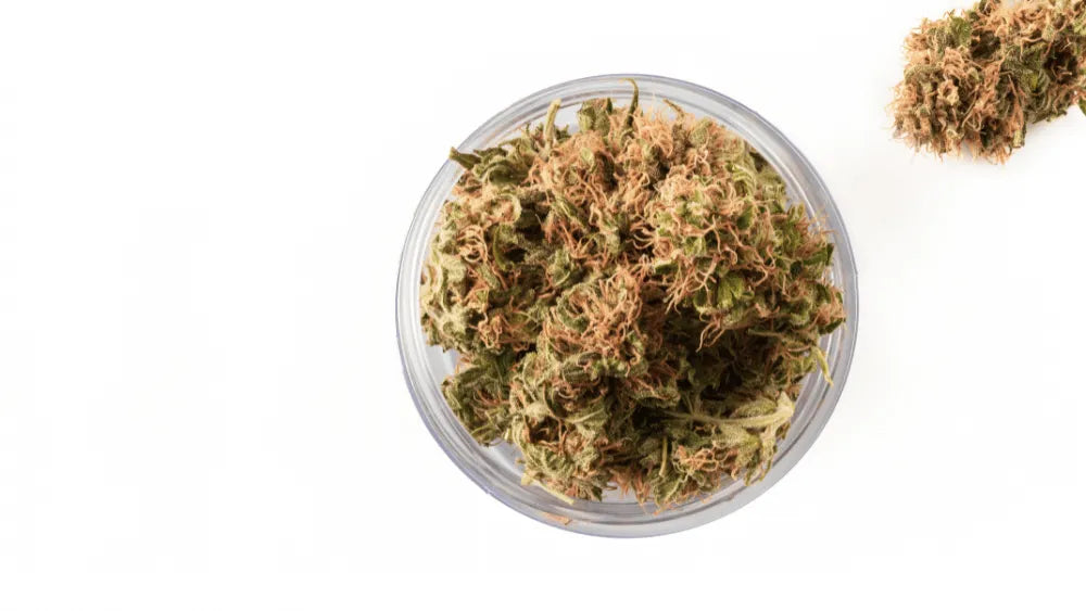 CB9 o novo canabinoide: efeitos e experiências