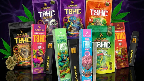 O que é T8HC?