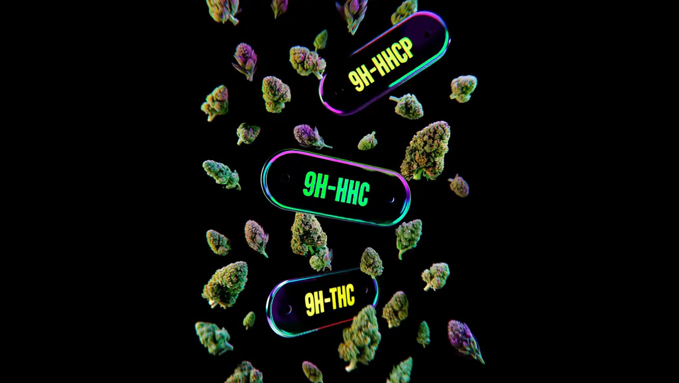 Alternativas a 10-OH-HHC: O que as pessoas estão a ver agora