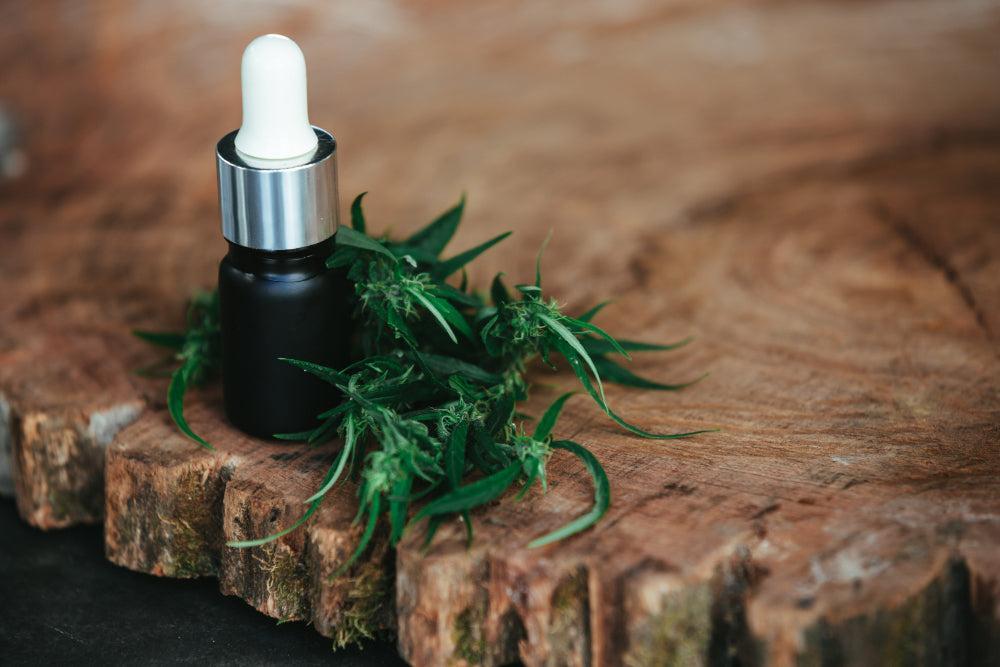 THCA: Benefícios, Utilização e Melhores Variedades de Cannabis-Canapuff
