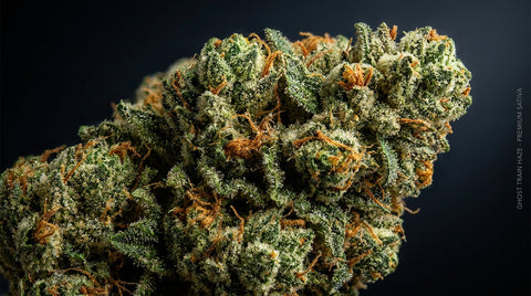 Guia Ghost Train Haze Strain — Efeitos, Terpenos e Origem