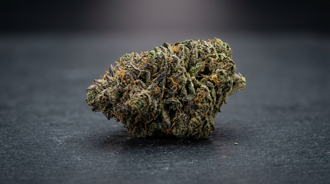 Guia Gorilla Zkittlez Strain: efeitos, terpenos e genética