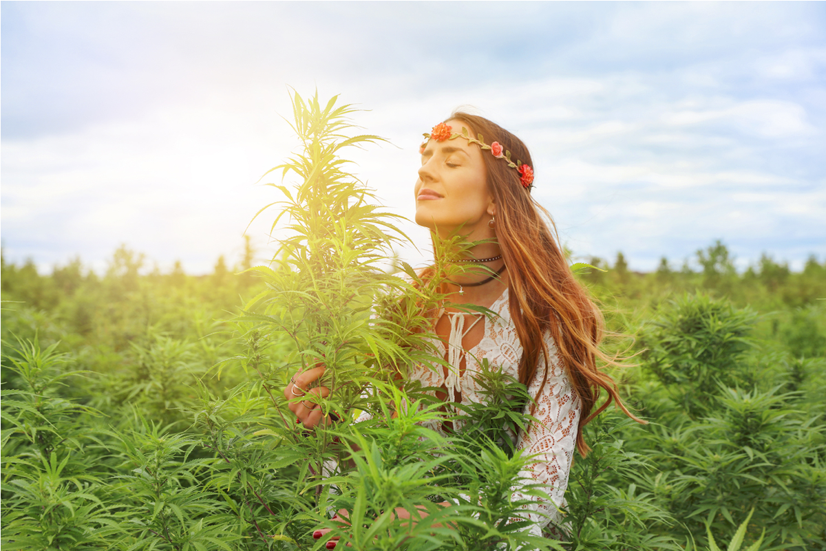 What Are the Best THC Vape Flavors for Relaxation and Focus?