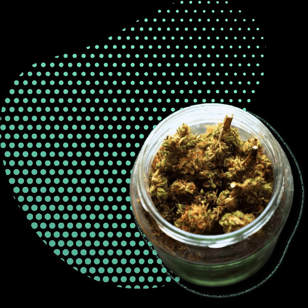 Flores de CBD