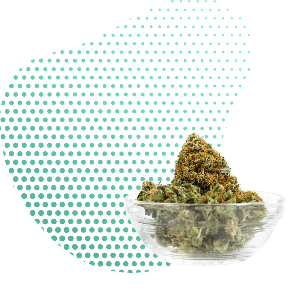 Flores de THC-B - Canapuff