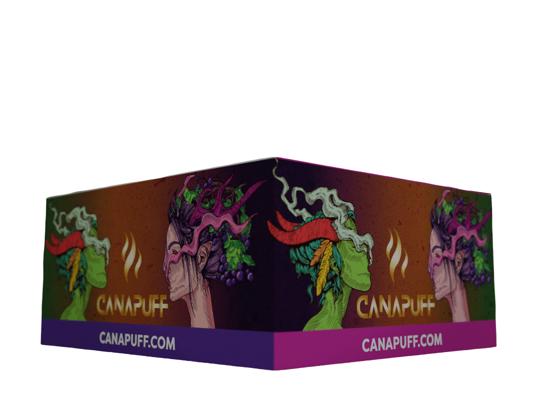 Canapuff Papel de Enrolar - Maxi Pack KSW com Filtros - Amnesia
