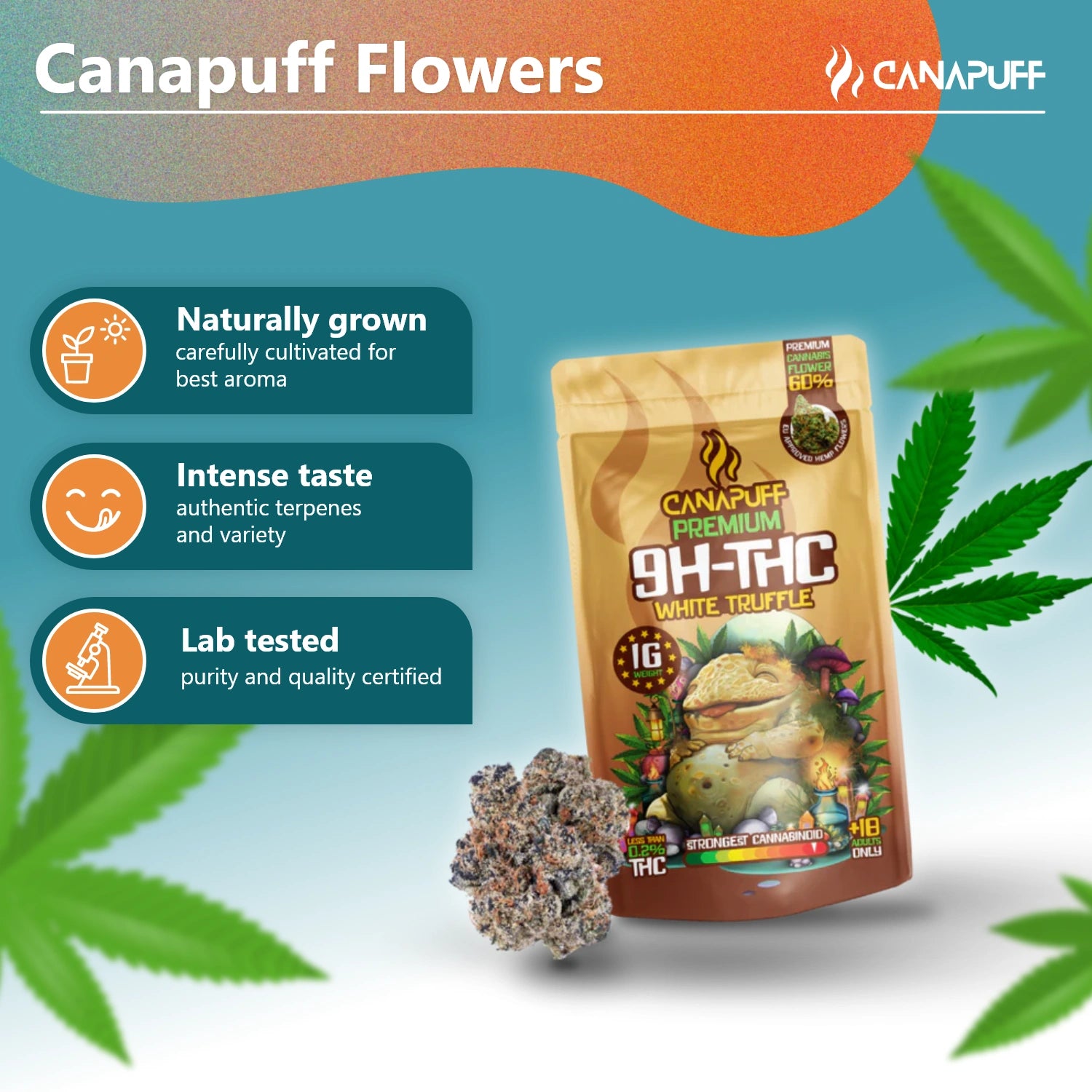 White Truffle 60% - Flores 10-OH-THC