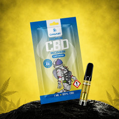 CBD Cartucho Recovery 95%
