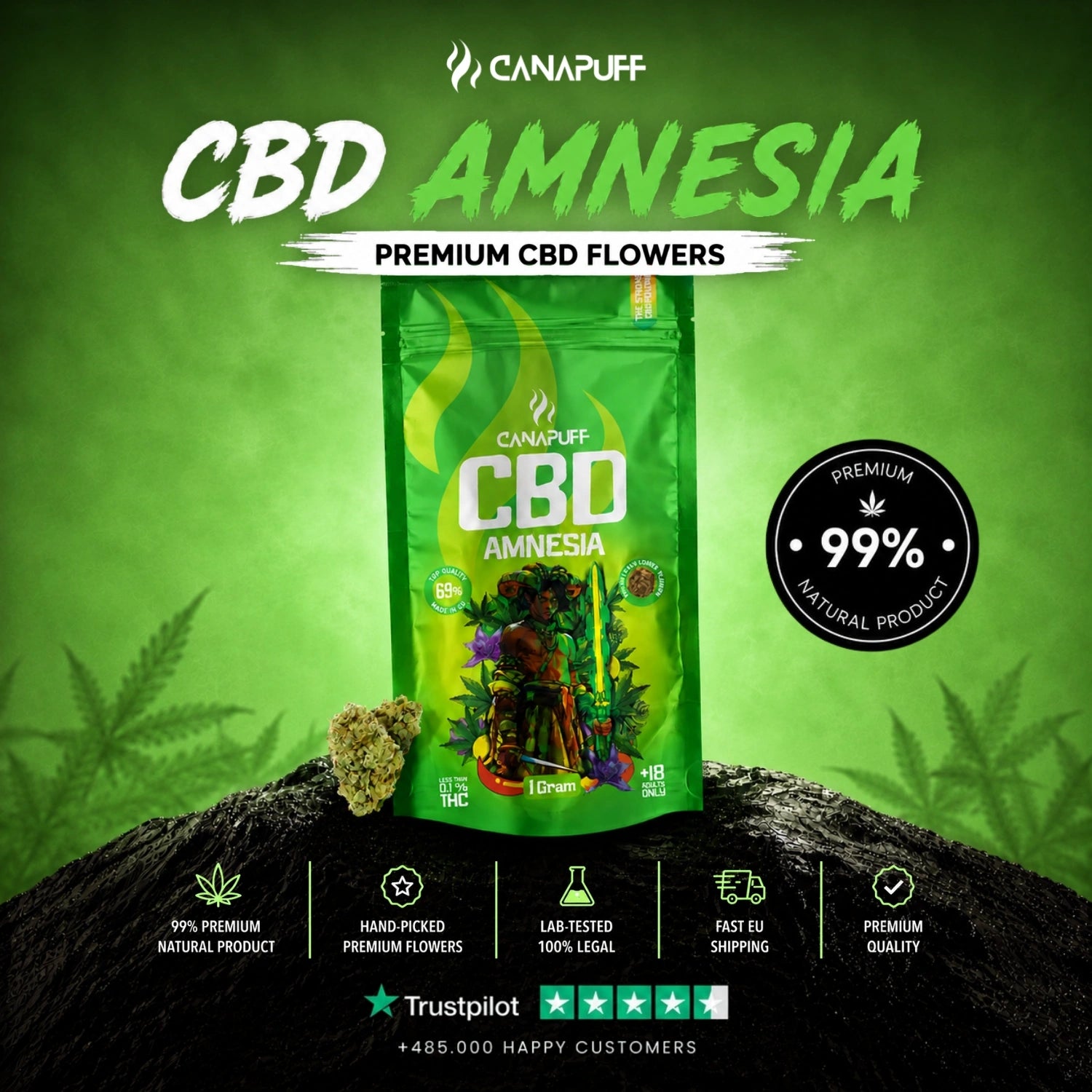 CBD Flores Amnesia 69%