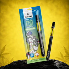 CBD Pen+Cartucho Recovery 95%