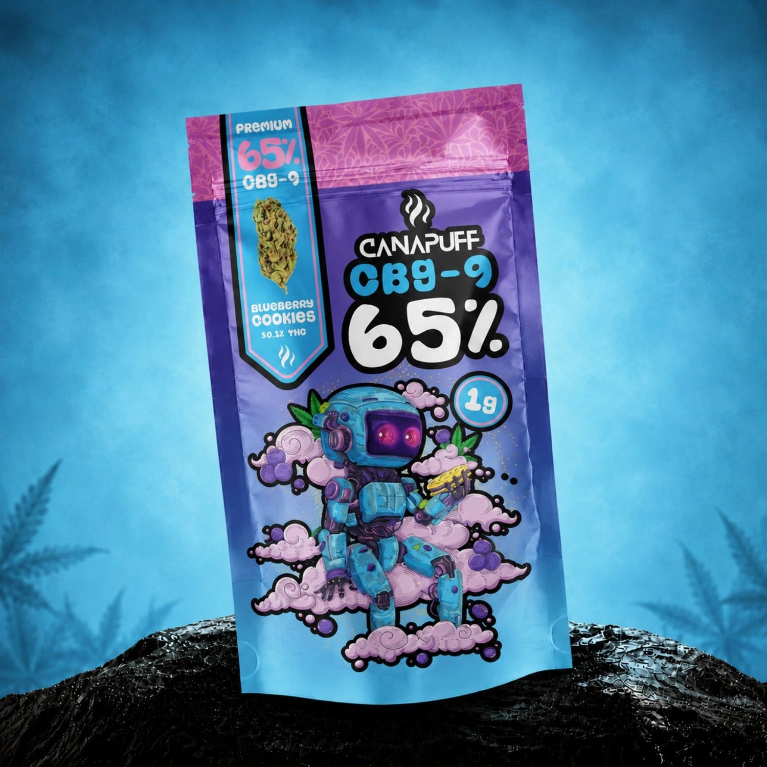 CBG9 Flores Blueberry Cookie 65%
