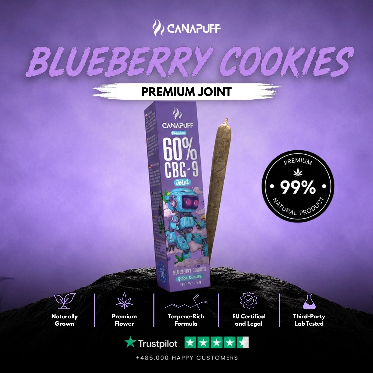 CBG9 Joint Mirtilo Cookies 60% 2g