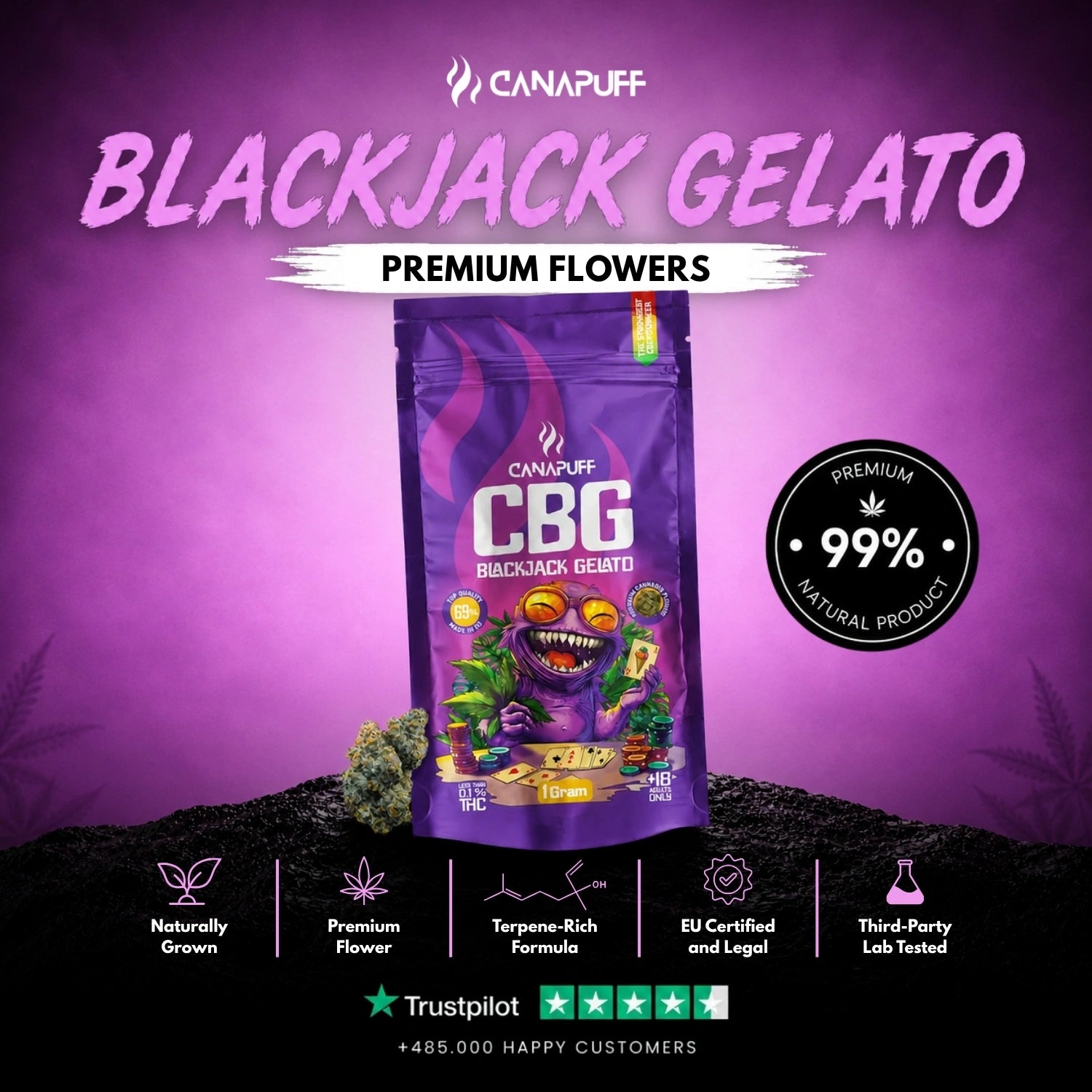CBG Flores Blackjack Gelato 69%