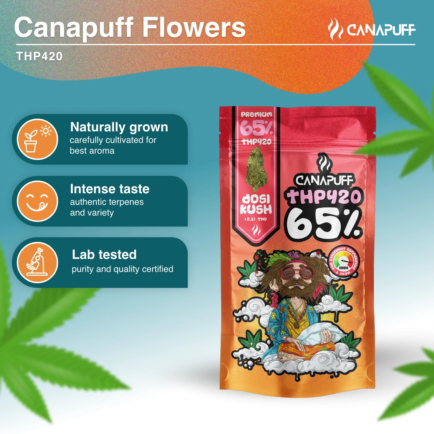 Dosi Kush 65% - THP420 Flores - Canapuff