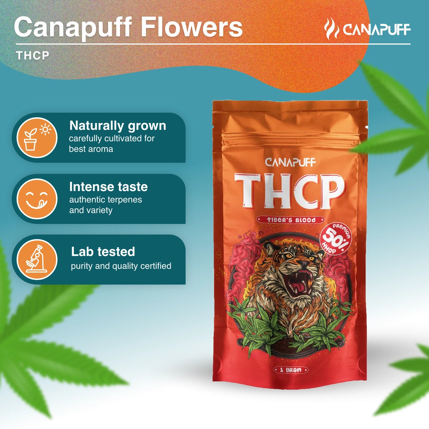 TIGER'S BLOOD 50% - THCp Flores - Canapuff