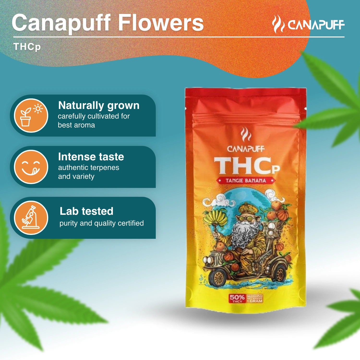 TANGIE BANANA 50% - Flores THCp - Canapuff