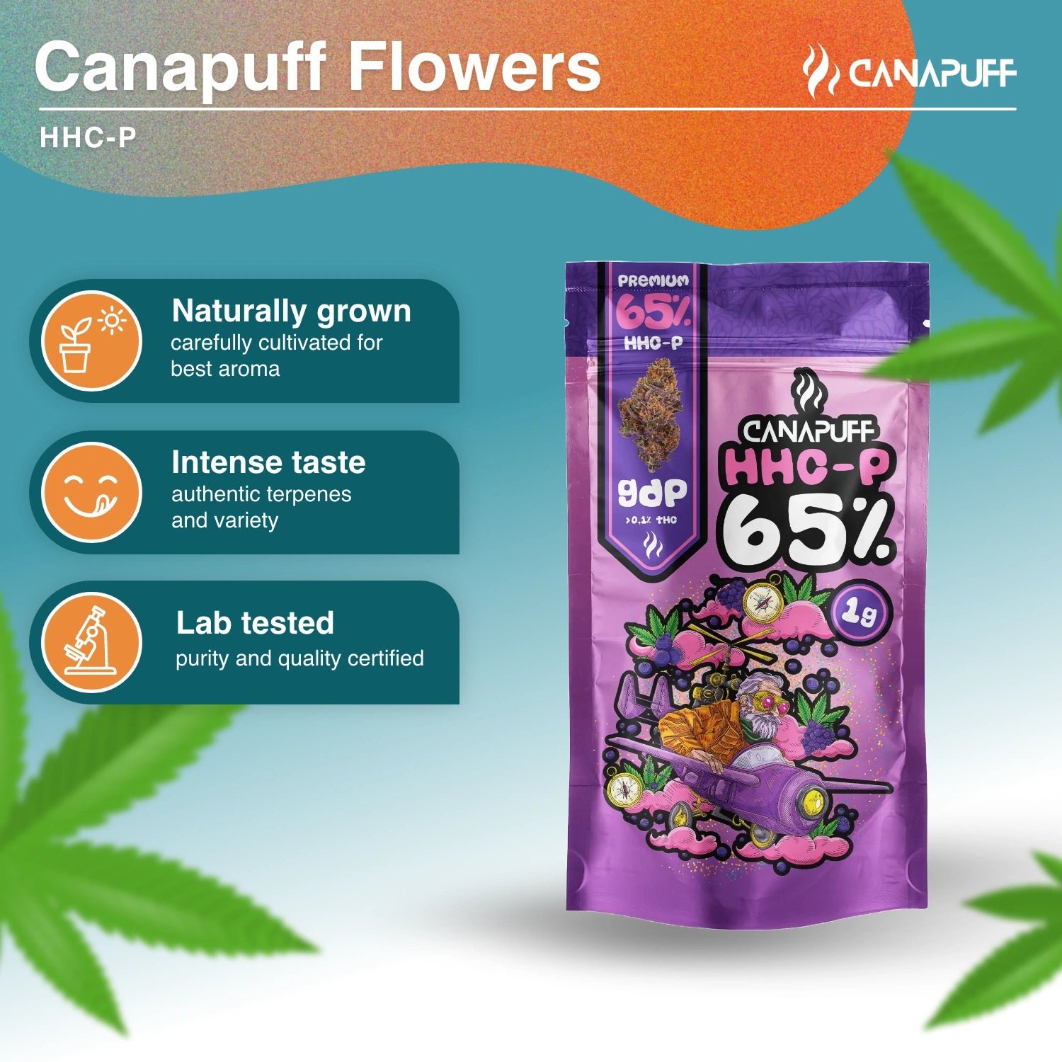 GDP 65% - HHC-P Flowers - Canapuff