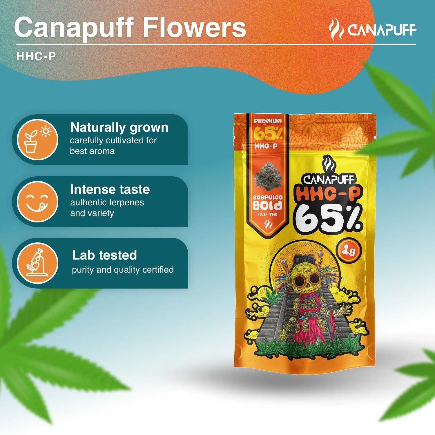 ACAPULCO GOLD 65% - HHC-P Flowers - CanaPuff