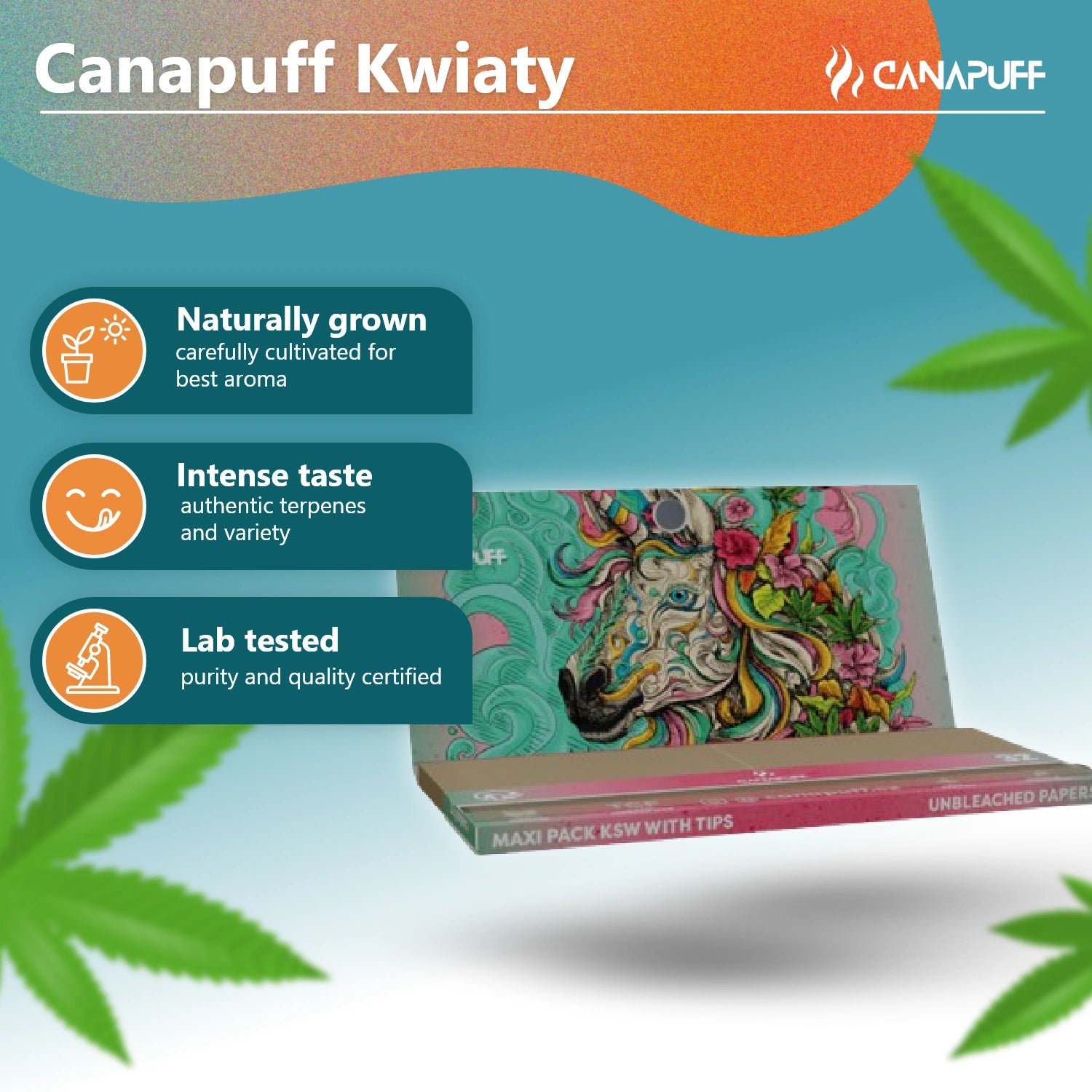 Canapuff - Mortalhas - Maxi Pack KSW com Filtros - Unicorn Piss