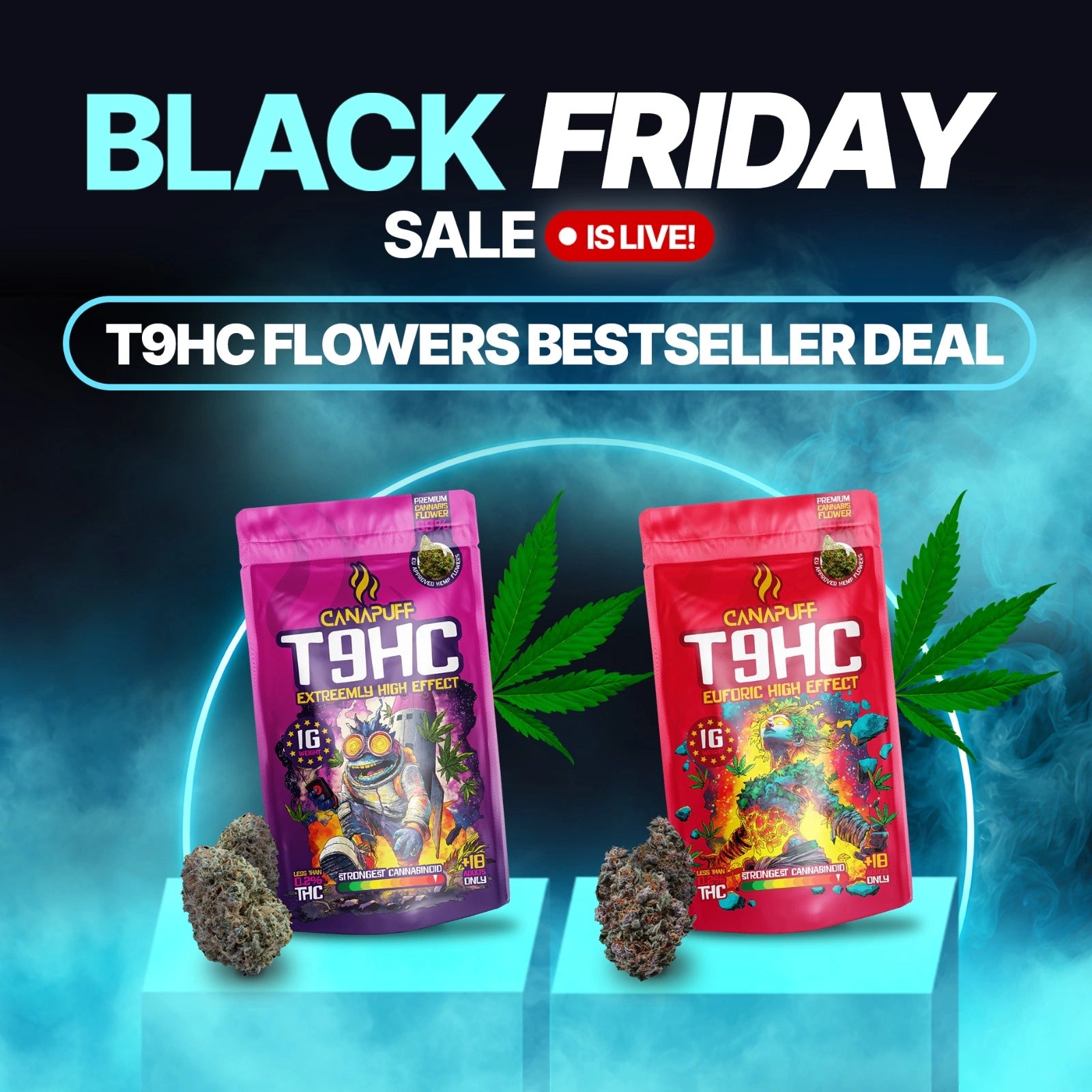 T9HC Flores bestseller Acordo