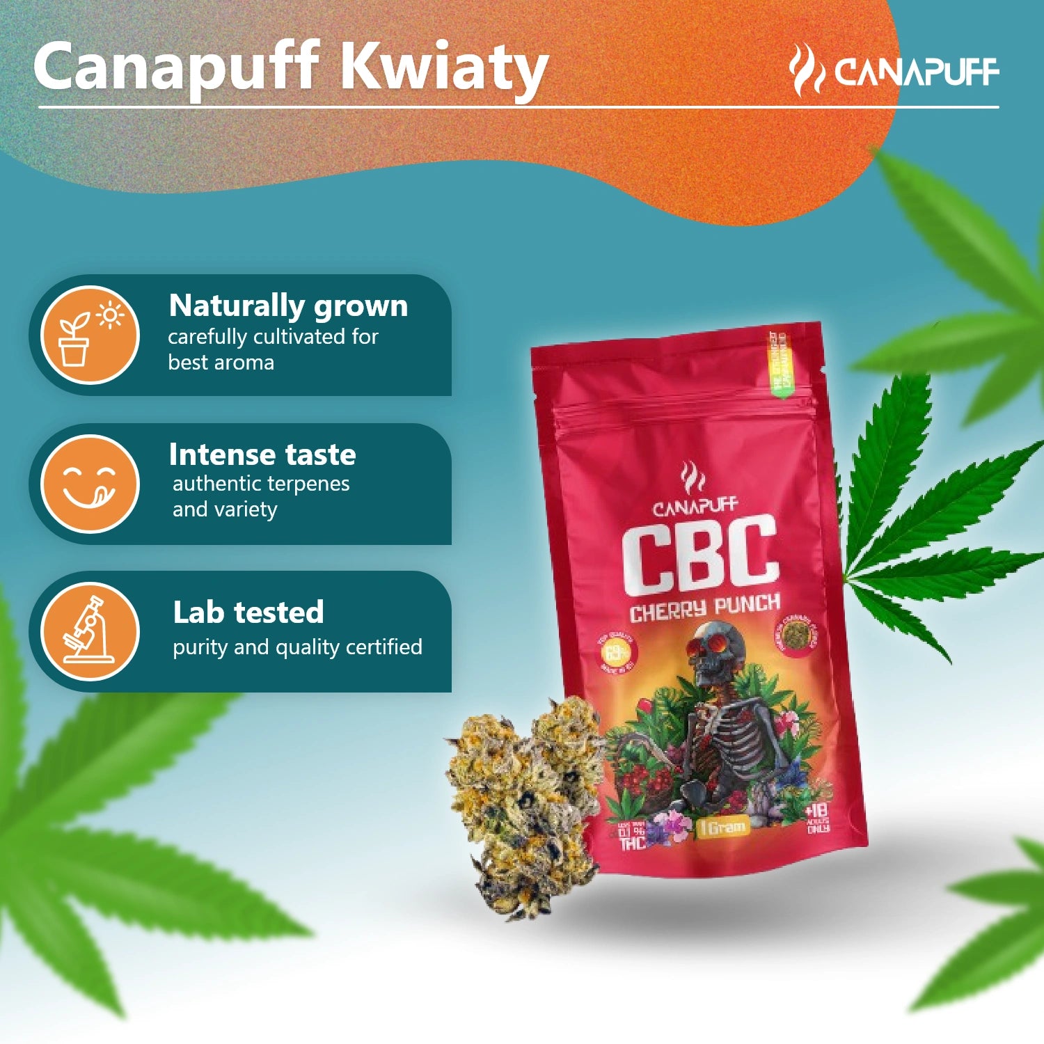 Canapuff - Cherry Punch 69% - Flores CBC