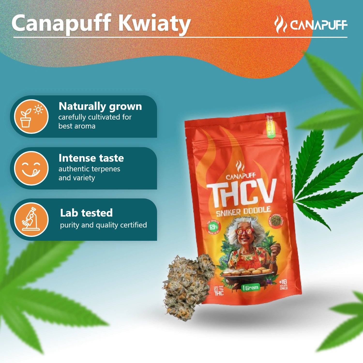 Canapuff - Sniker Doodle 69% - Flores THCv
