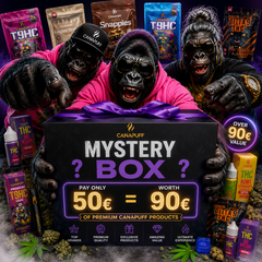 Mystery Box M