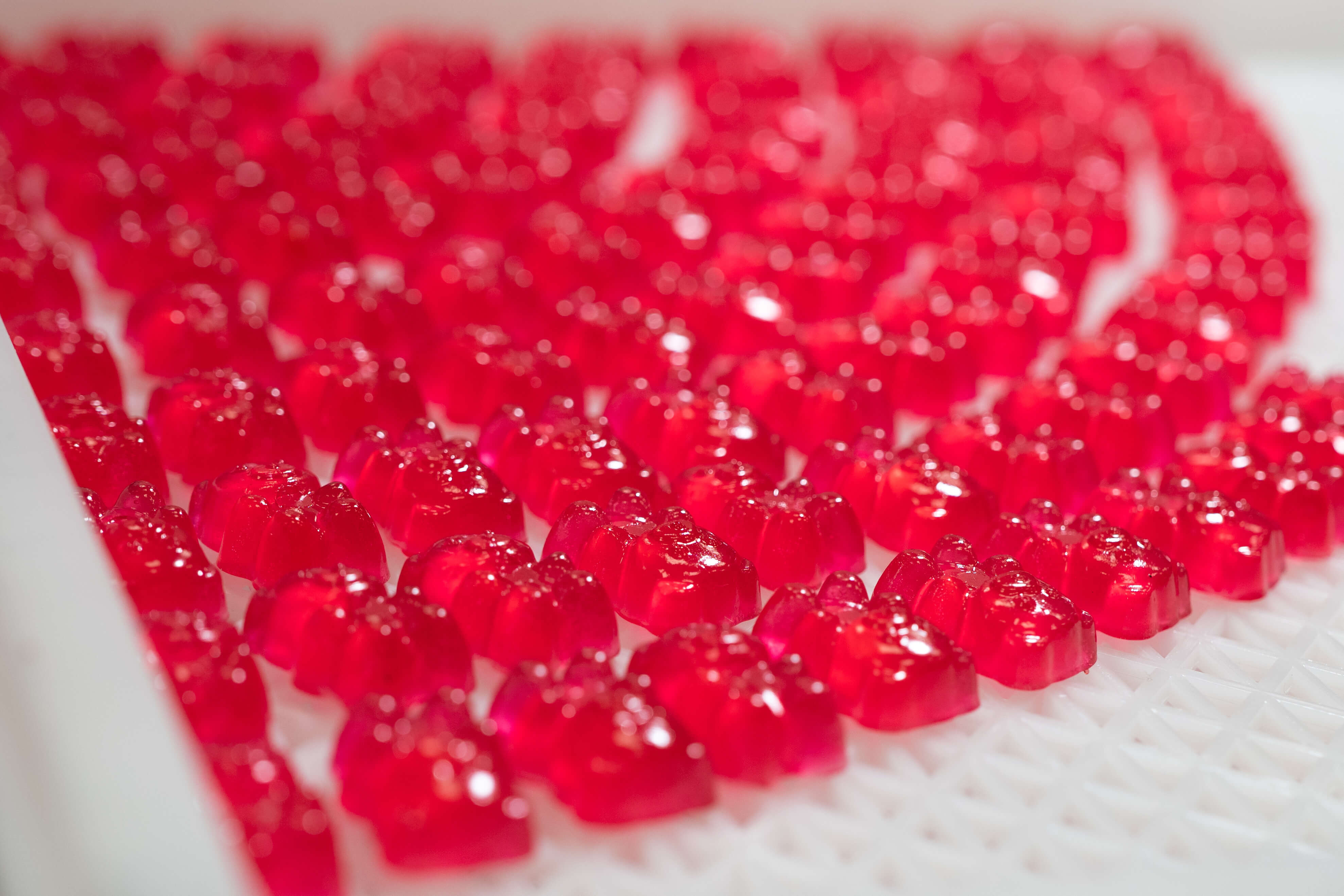 THC Gummies getting made
