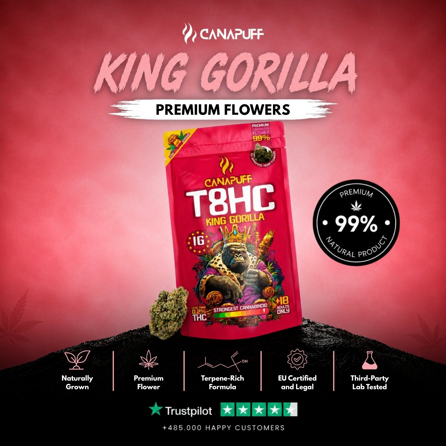 T8HC Flores King Gorilla 99%