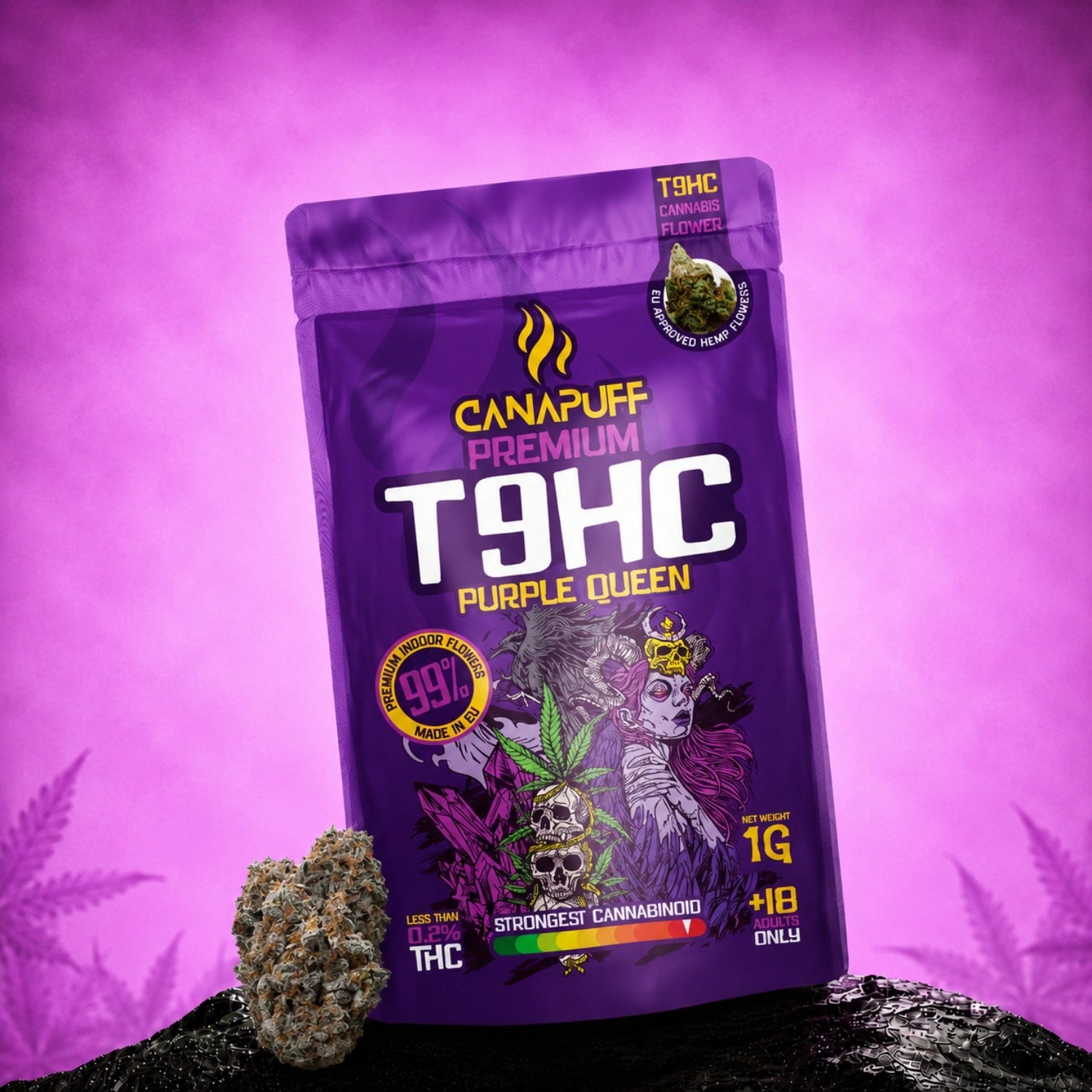 Flores T9HC Purple Queen 99%
