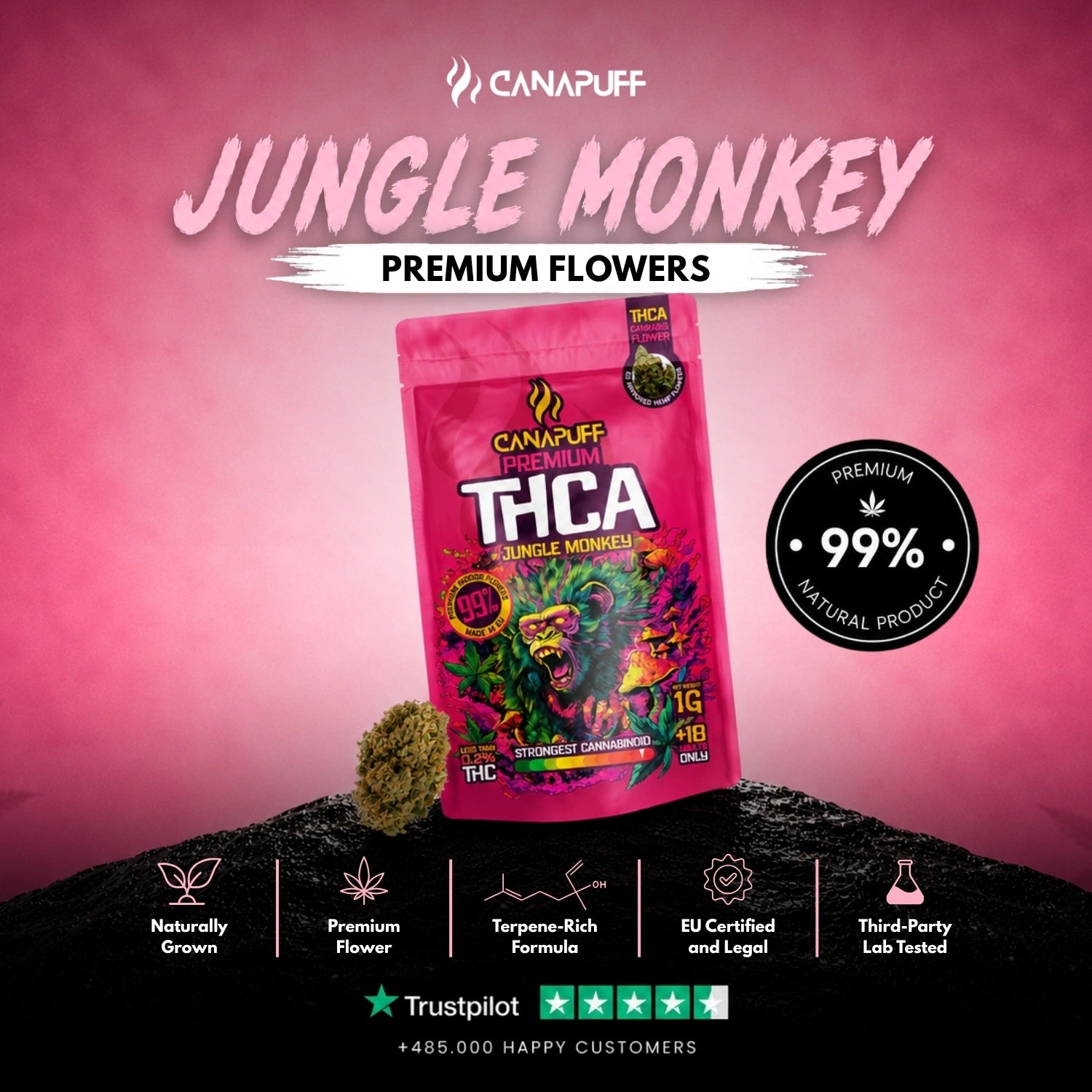 THCA Flores Jungle Monkey 99%