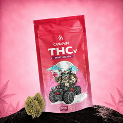 THCv Flores Berry Gelato 50%