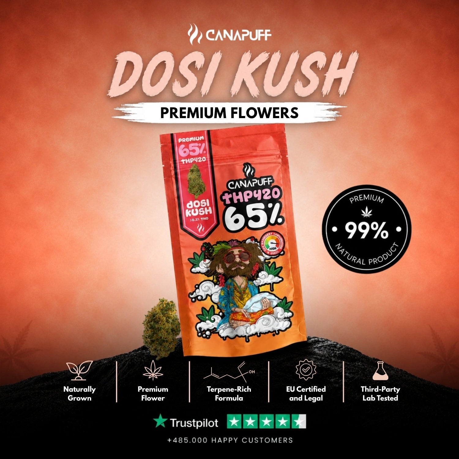 THP420 Flores Dosi Kush 65%