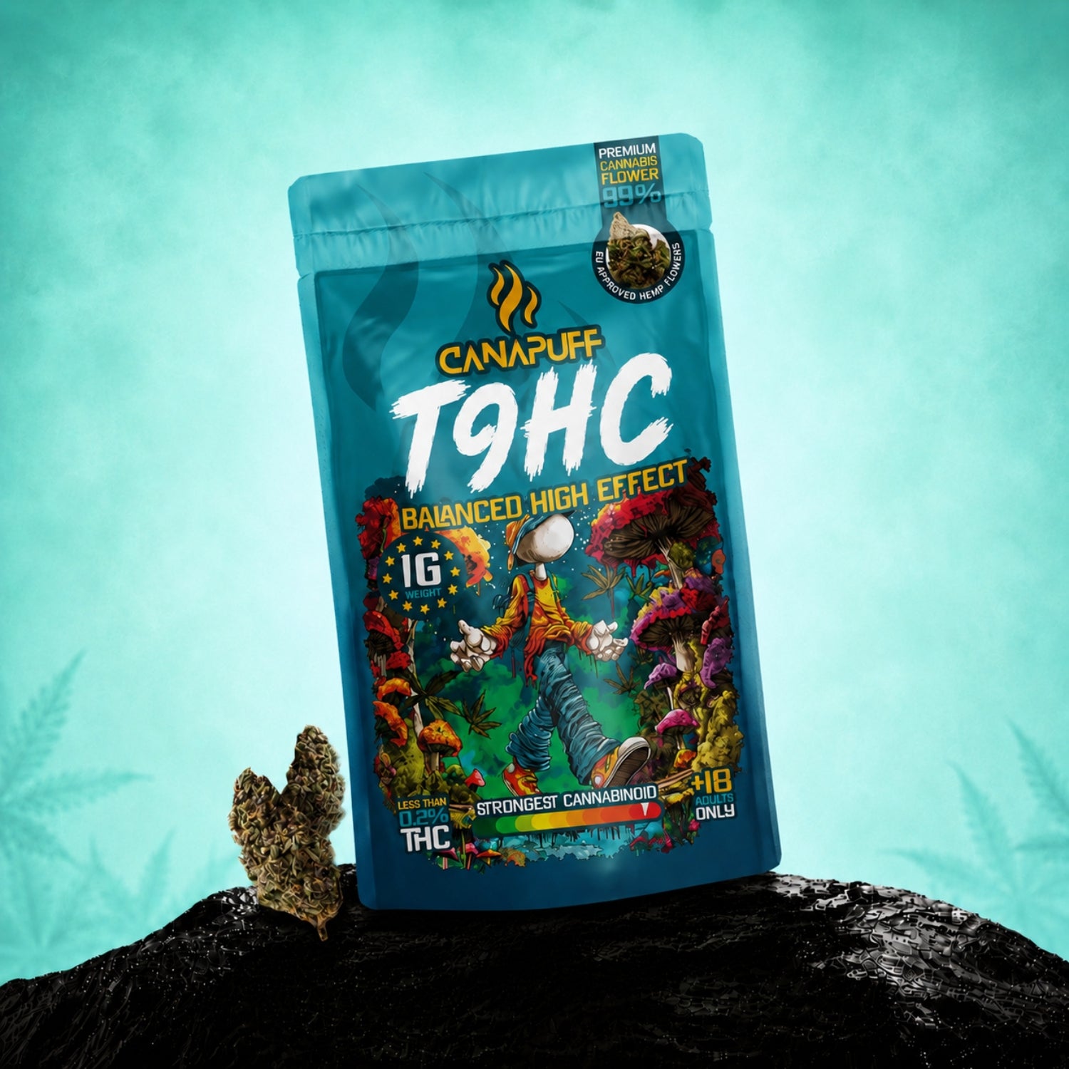Canapuff TⳊHC flowers balanced high effect, 1 g pouch