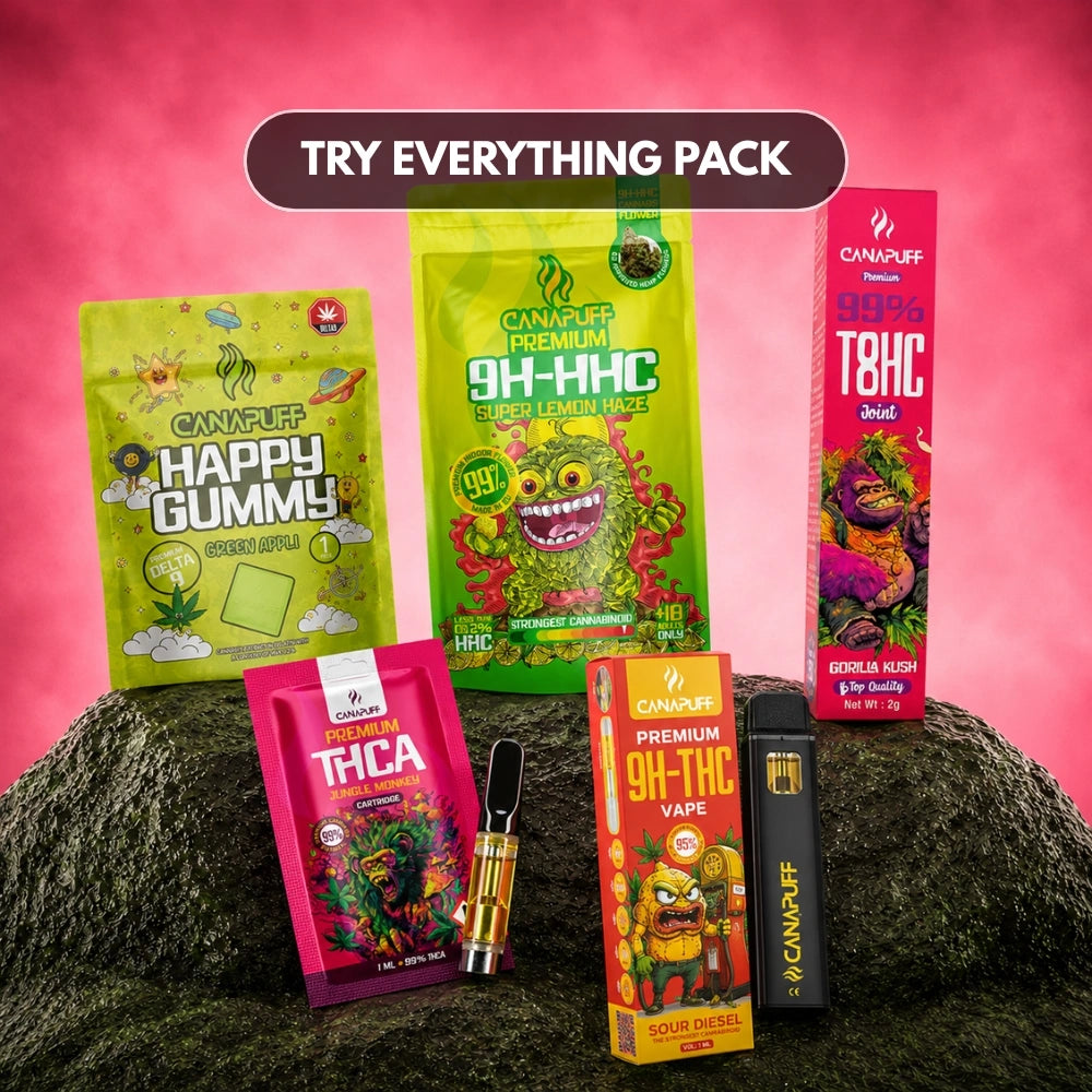 Pack Experimenta Tudo
