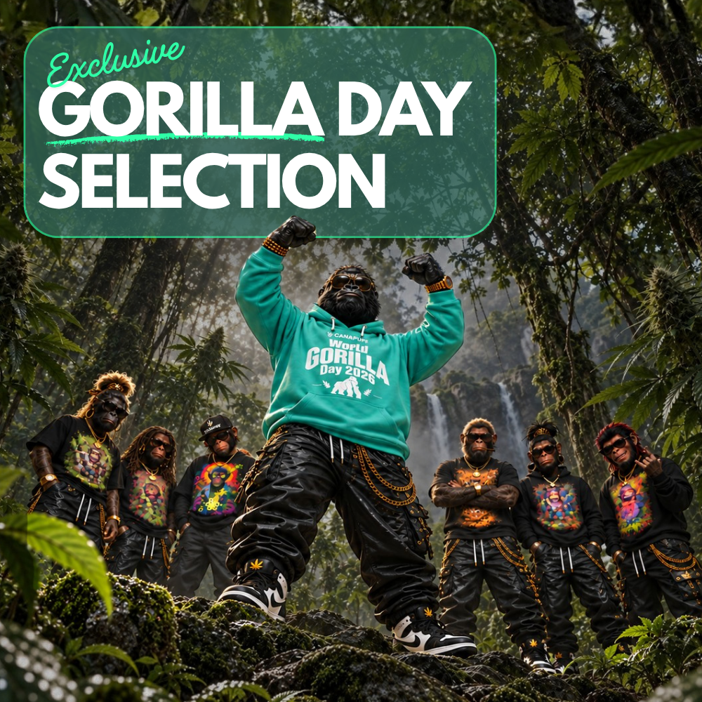 Celebrate Gorilla Day.