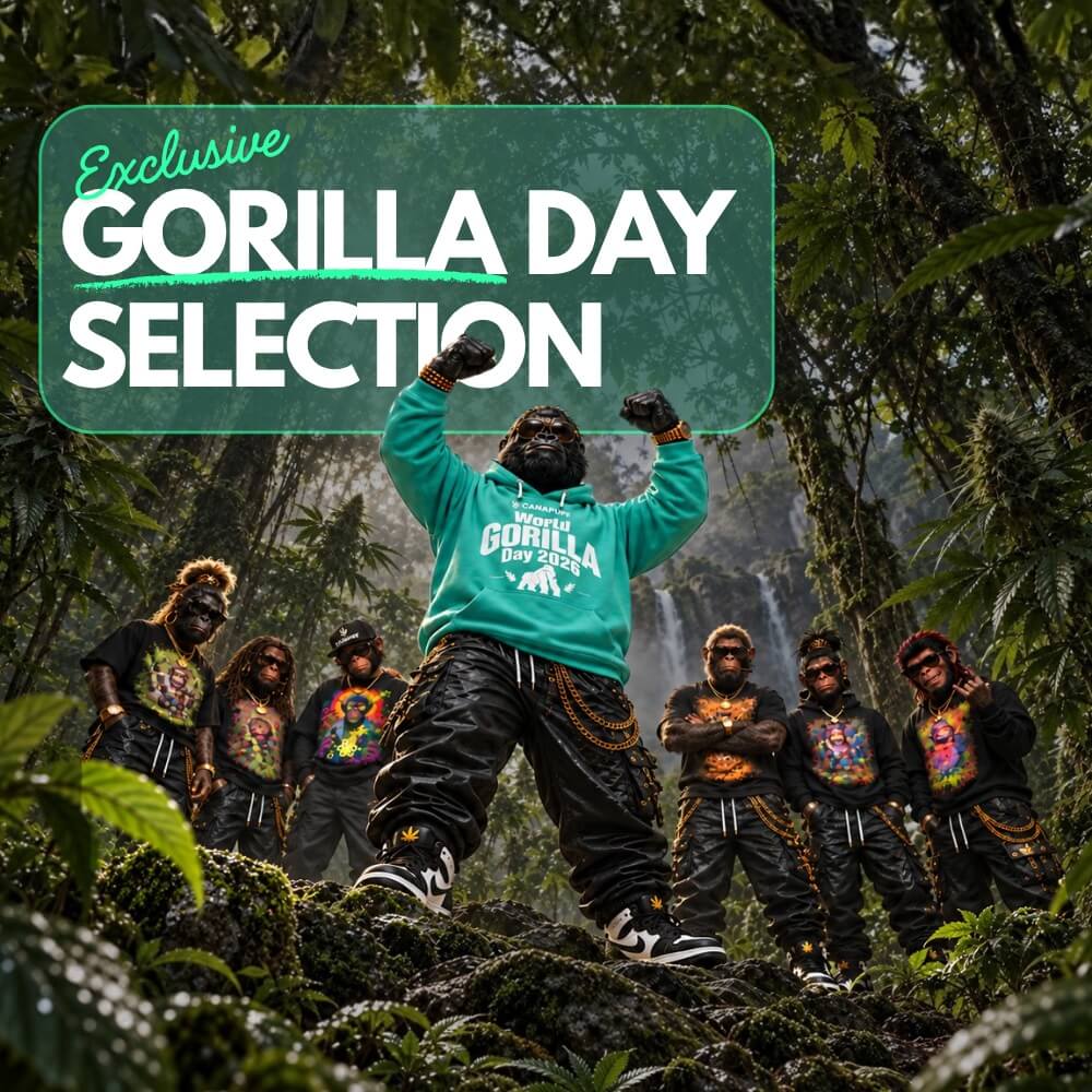 Celebrate Gorilla Day.