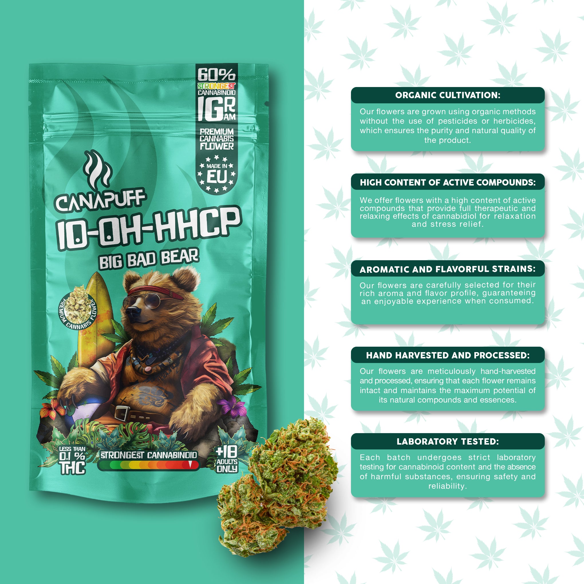 Canapuff - Big Bad Bear 60% - Flores 10-OH-HHCP