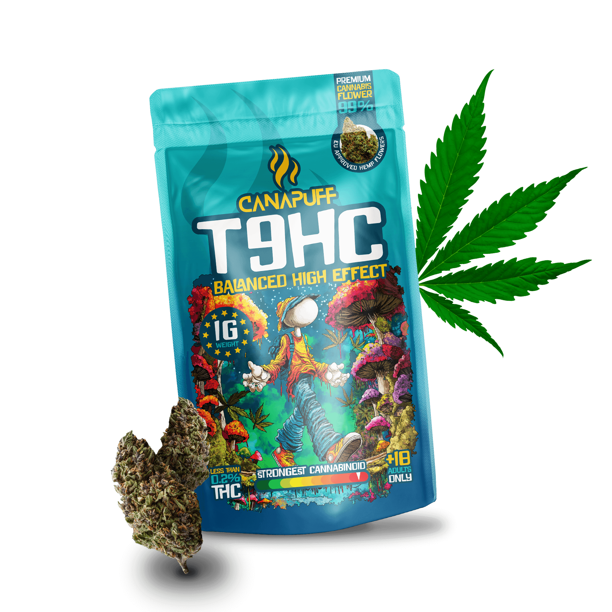 T9HC Flores Balanced 99%