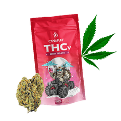 THCv Flores Berry Gelato 50%