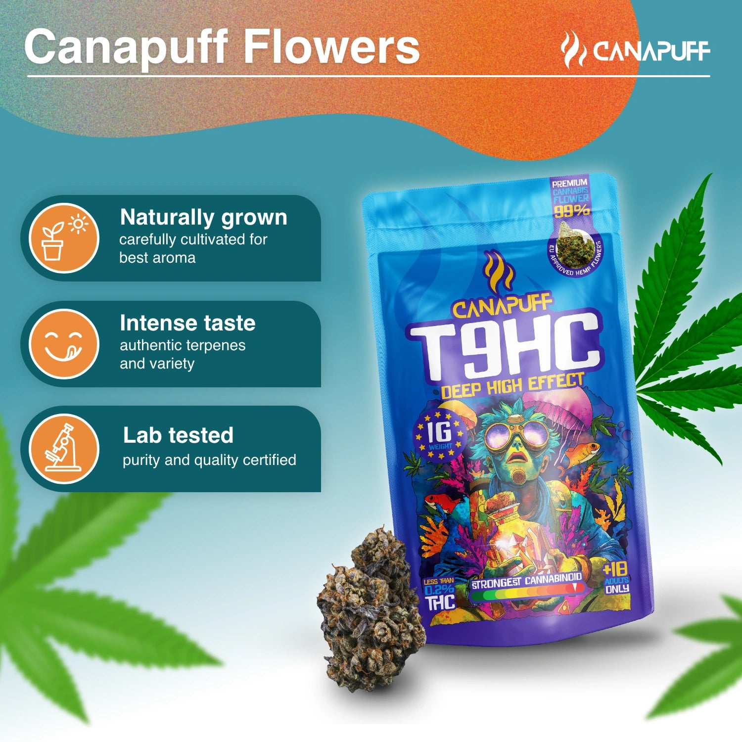 Canapuff - Deep 99% - Flores T9HC