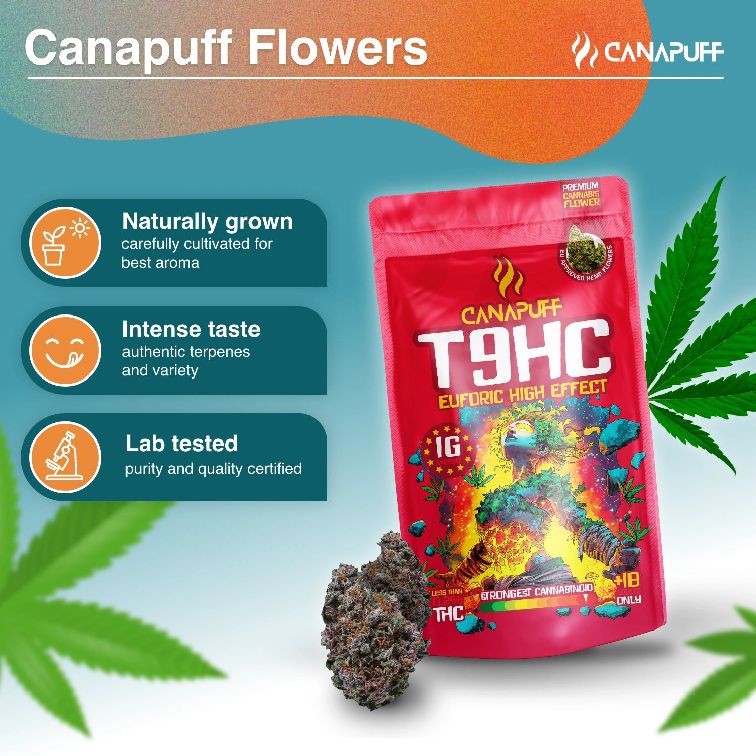 Canapuff - Euforic 99% - Flores T9HC